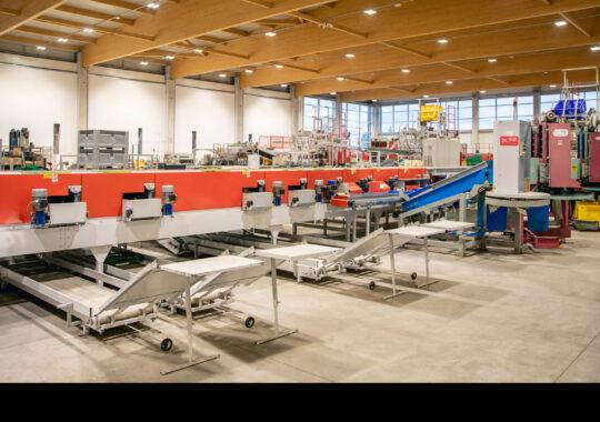 Coop Sapore di Romagna