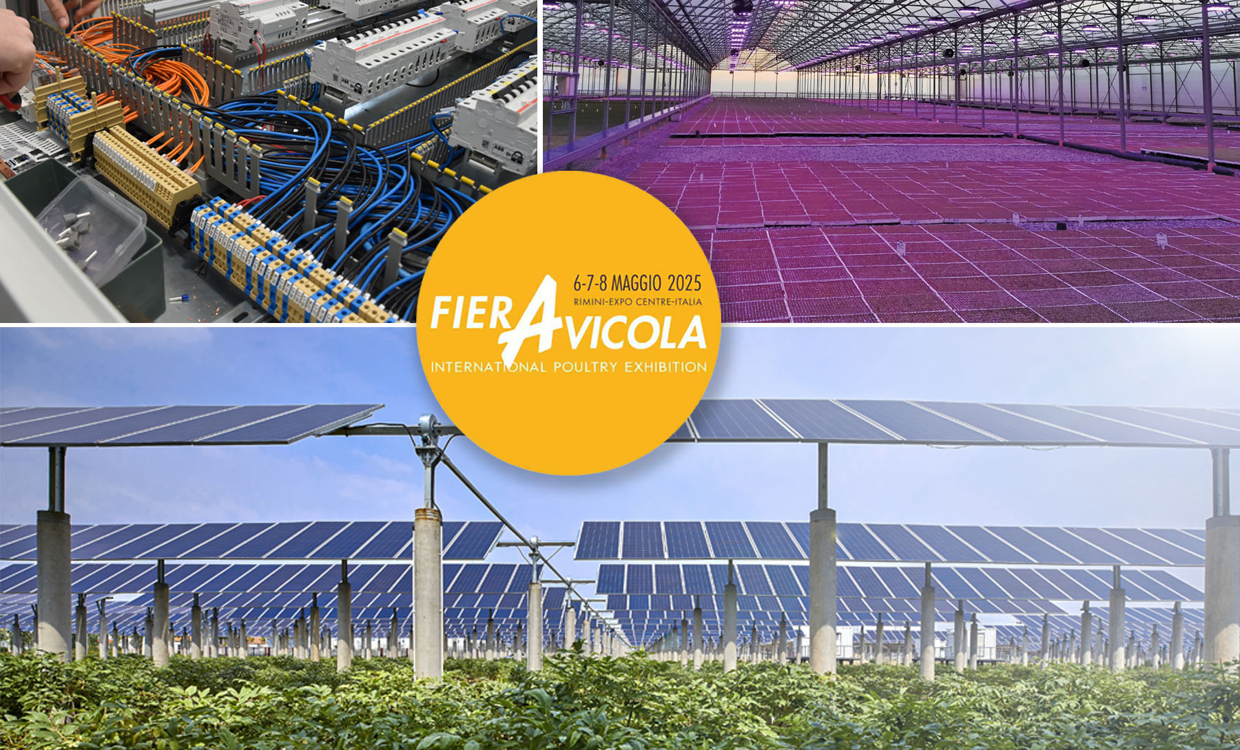 Anche E.R.Lux presente con un proprio stand a FieraAvicola 2025